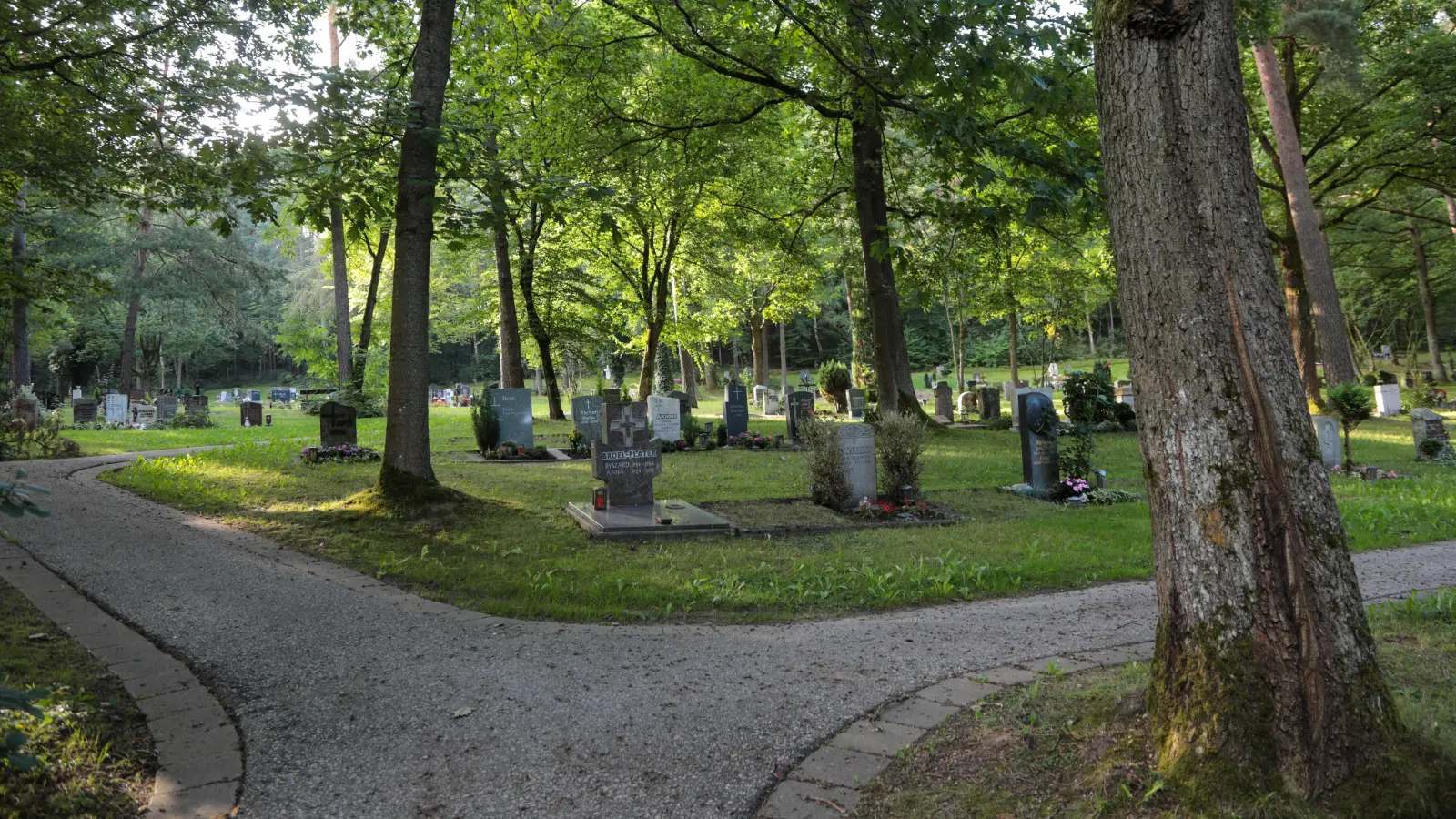 Der Waldfriedhof in Raigering. Hier ist eine Grabstele im Wert von 10.000 Euro verschwunden. (Archivbild: Wolfgang Steinbacher)