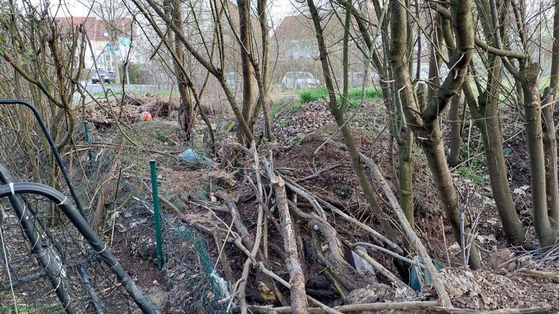 Die illegalen Grüngutablagerungen in der Othmayrstraße sind der Stadt Amberg ein Dorn im Auge. Sie verursachen zusätzlichen Aufwand und Kosten und beschädigen einen Zaun. (Bild: Susanne Uschold/Stadt Amberg)