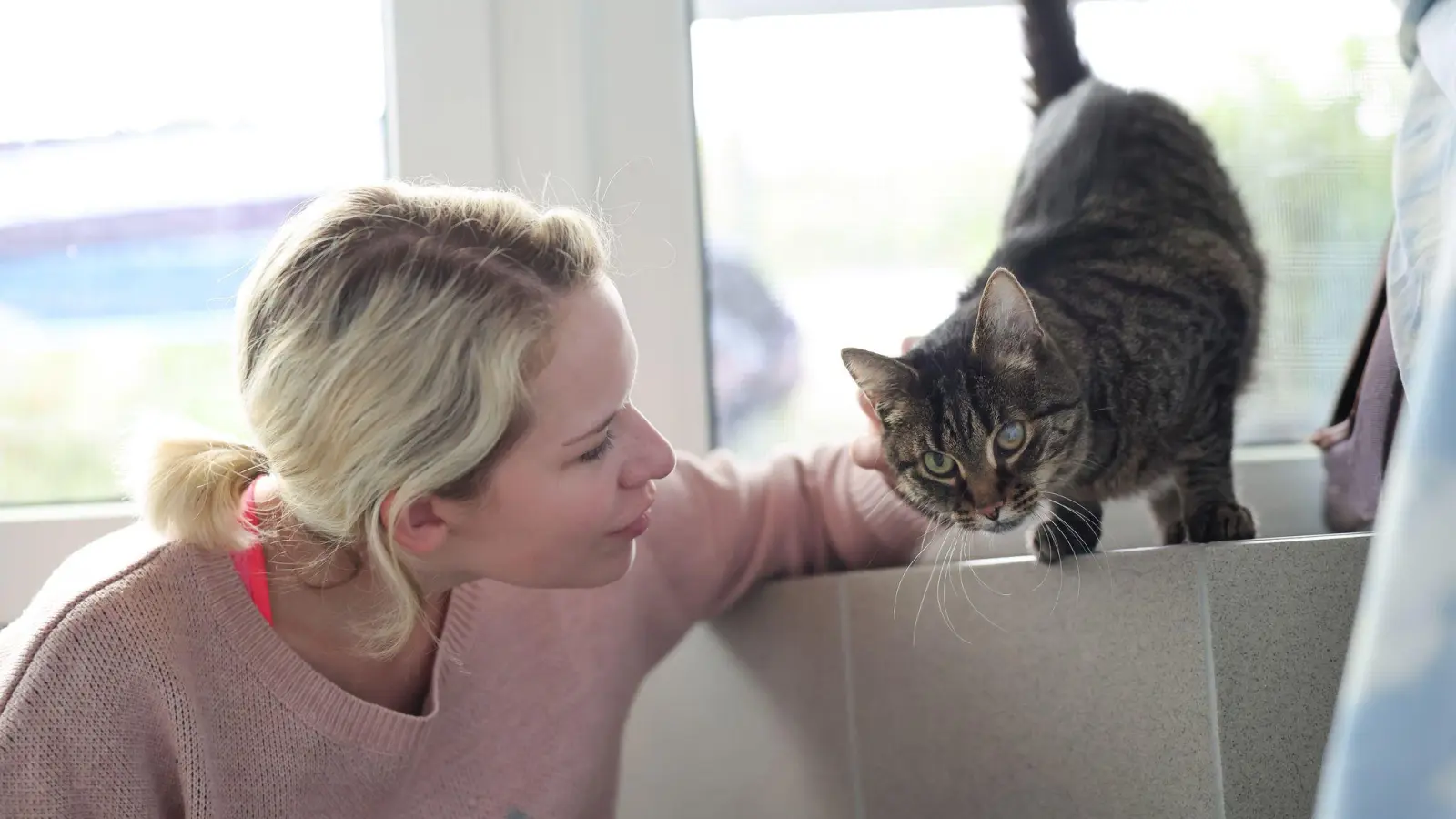 Weil die Festangestellten in Tierheimen voll ausgelastet sind, übernehmen ehrenamtliche Katzenstreichlerinnen wie Christina Haas das Kraulen und Spielen. (Bild: Daniel Löb/dpa)