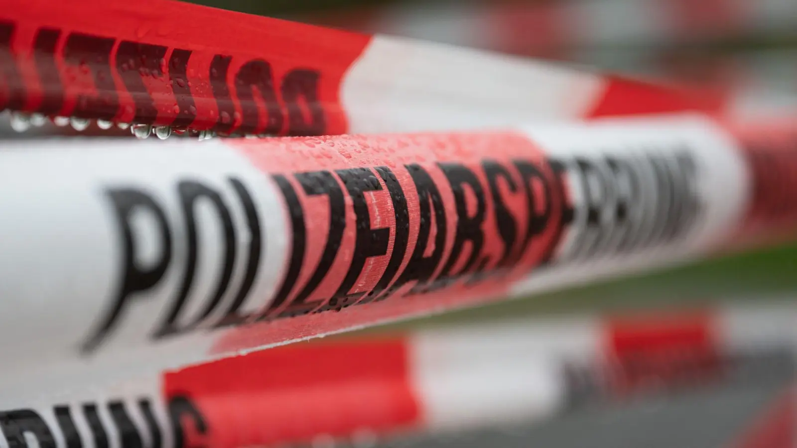 Die Polizei sperrte die Autobahn für rund zwanzig Minuten. (Symbolbild) (Bild: Sebastian Kahnert/dpa)