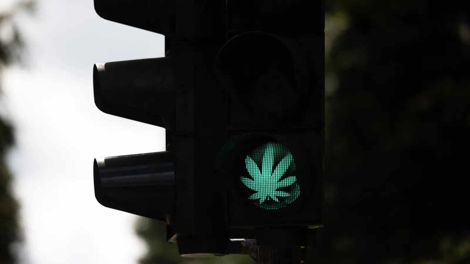 Über die Cannabis-Freigabe sollen die Abgeordneten namentlich abstimmen. Aus den Reihen der mitregierenden SPD hatten einige Parlamentarier vorab Einwände deutlich gemacht. (Bild: Rolf Vennenbernd/dpa)