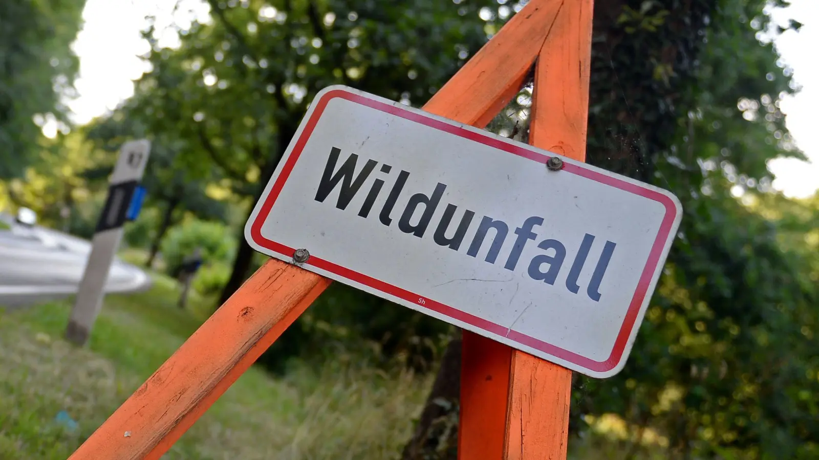 Zu einem Wildunfall kam es am Donnerstag auf der Staatsstraße 2165 bei Schmidmühlen. (Symbolbild: Susann Prautsch/dpa)