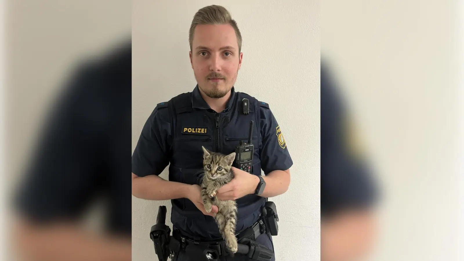 Die Polizei hat das Katzenbaby Mona gerettet.<br> (Bild: Polizeiinspektion Amberg)