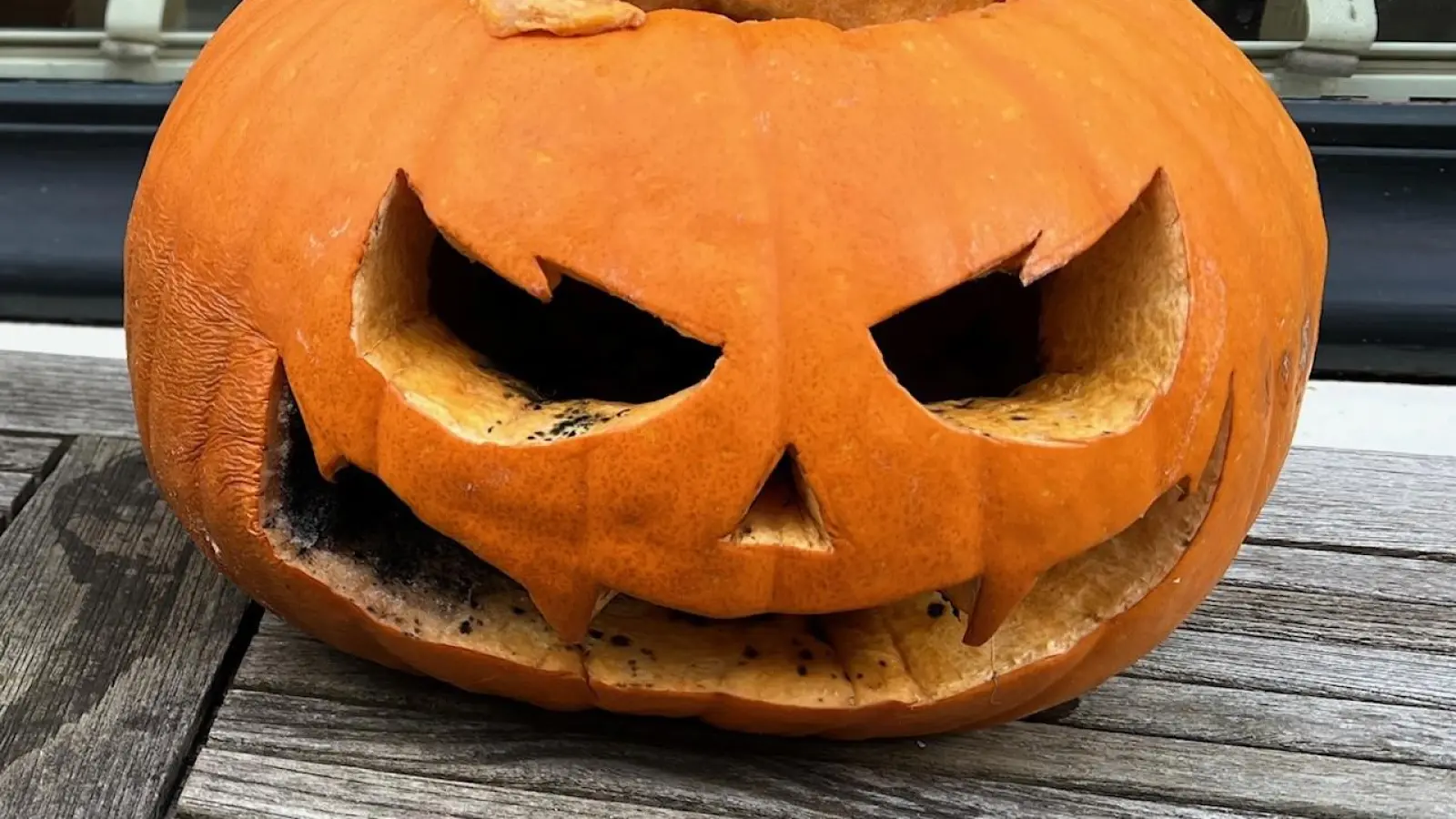 Eine Halloween-Party unter einer Autobahnbrücke wurde am Mittwochmorgen ein Fall für die Amberger Polizei. (Symbolbild: Heike Unger)