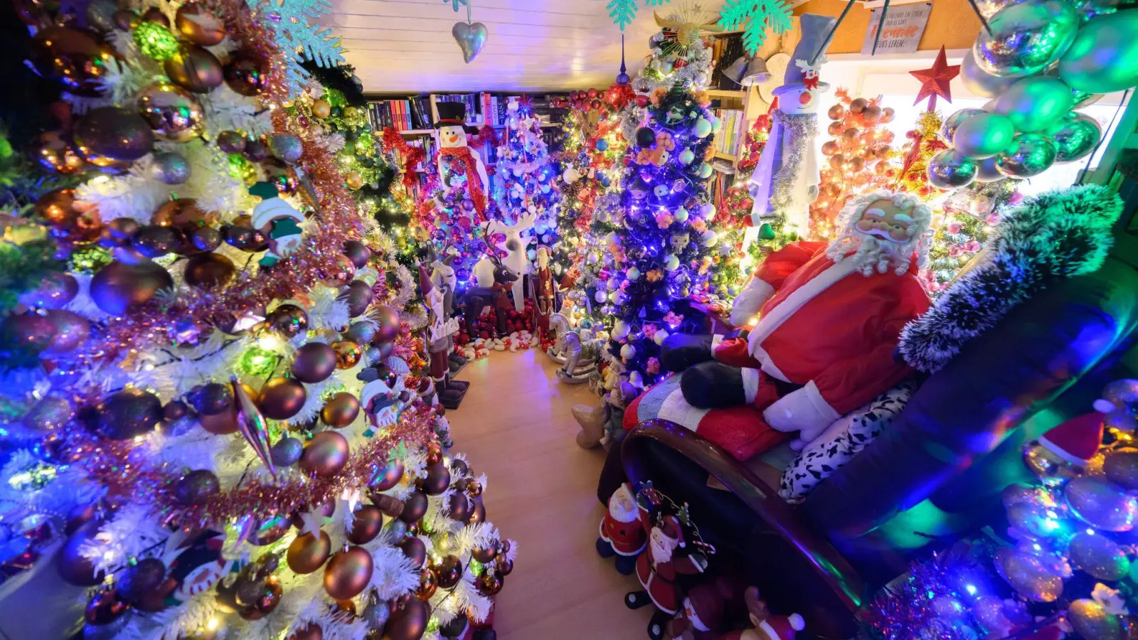 Hunderte Weihnachtsbäume finden in einem Haus in Niedersachsen Platz. (Bild: Julian Stratenschulte/dpa)