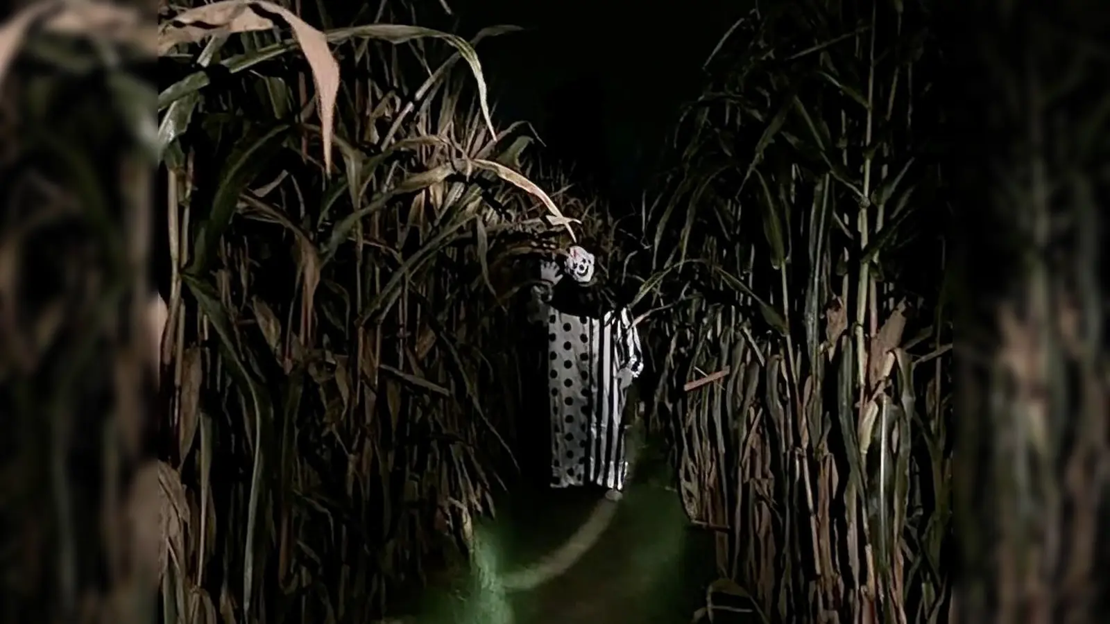 Der Gruselclown im Maisfeld: Im Maislabyrinth Auerbach probieren Landwirt Florian Haberberger und seine Live-Erschrecker schon für Halloween. (Bild: Florian Haberberger)