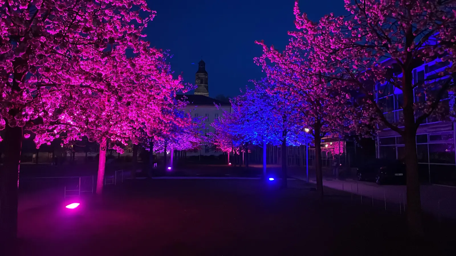 Lucas Distler verwandelt den OTH-Campus am Samstag, 12. April, in eine House-Wunderlandschaft. (Bild: Lucas Distler/exb)