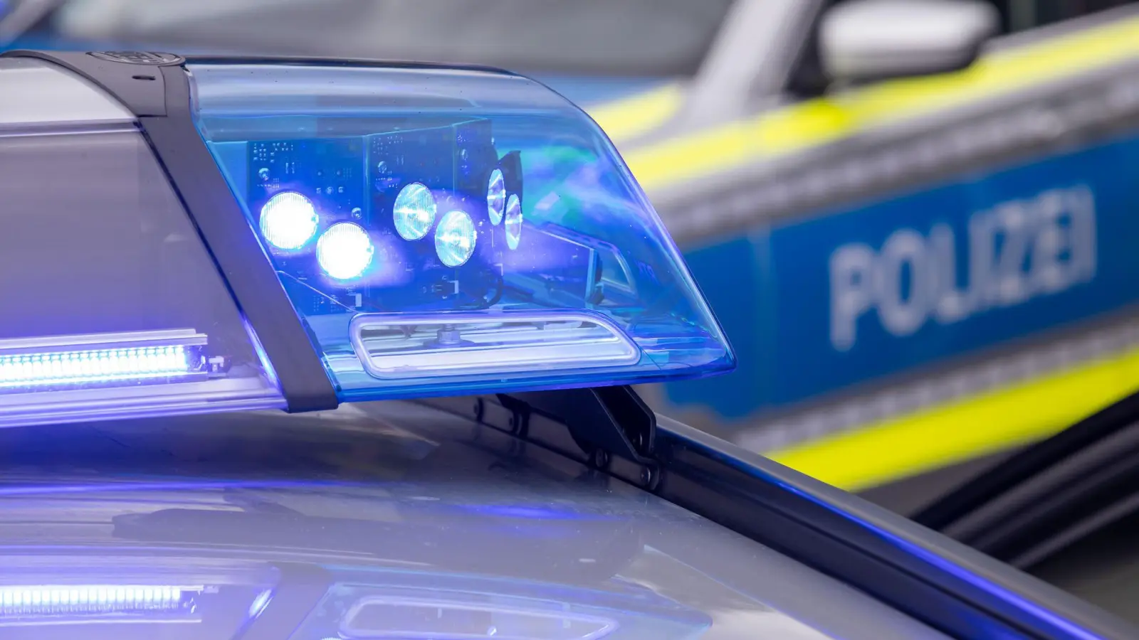 Für den geretteten Dackel ging es mit dem Streifenwagen wieder nach Hause. (Symbolbild) (Bild: Daniel Karmann/dpa)