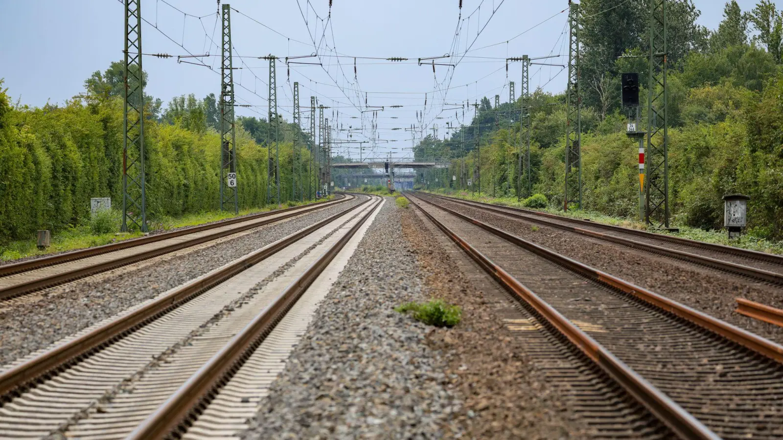 Der Lokführer des Regionalzugs leitete eine Notbremsung ein. (Symbolbild) (Bild: Christoph Reichwein/dpa)
