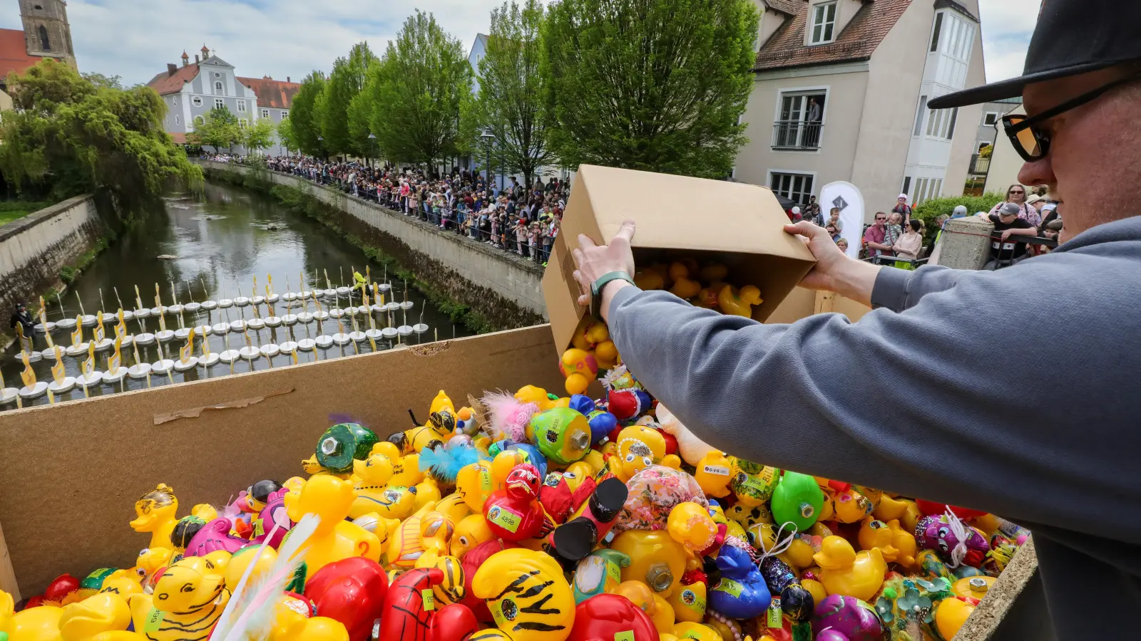 9000 bunte und teils sehr aufwendig verzierte Enten sind am Sonntag zum Entenrennen angetreten. (Bild: Wolfgang Steinbacher)