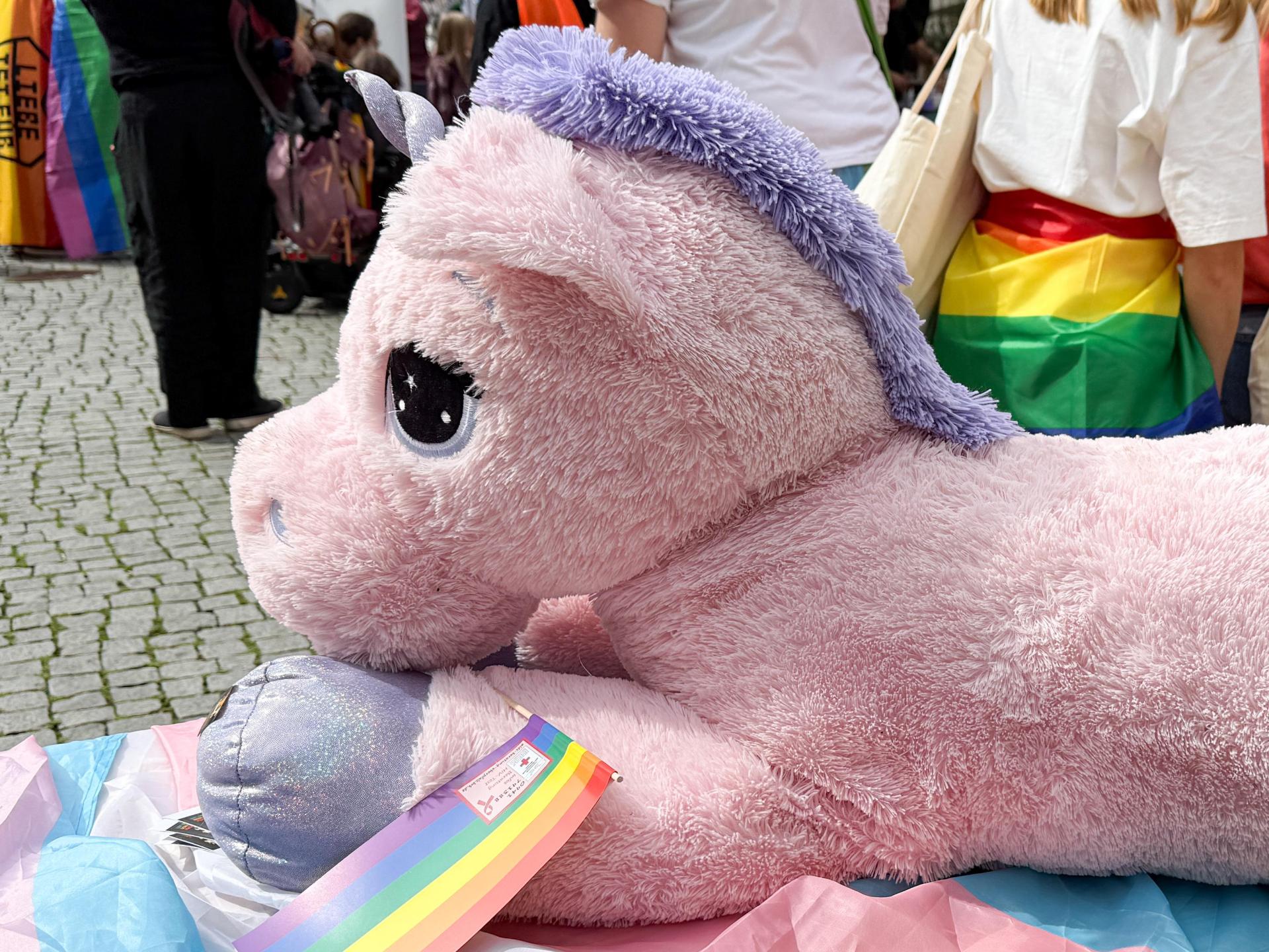 Christopher Street Days (CSD) Amberg 2025 (Bild: Petra Hartl)